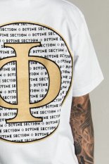 Divine Circle Phi