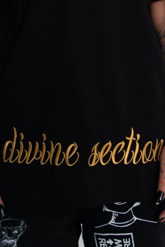 Divine Brocade Golden Phi