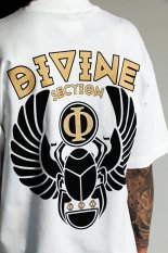 Divine Ancient Scarab