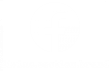Facebook - Divine Section