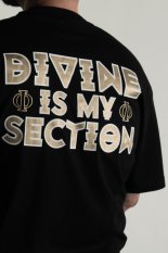 Divine is my Section