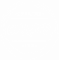 CHAOS INK