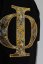 Divine Brocade Golden Phi